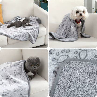 Cat Dogs Puppy Pet Blanket