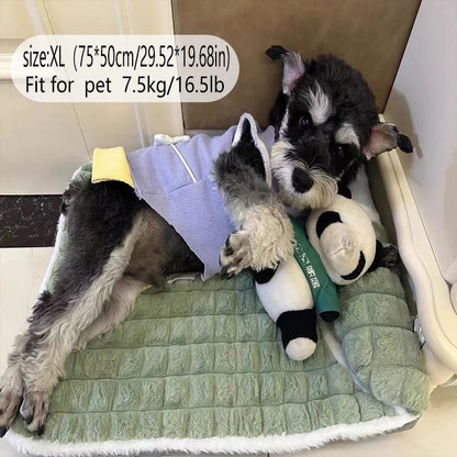1Pc Dog Mat