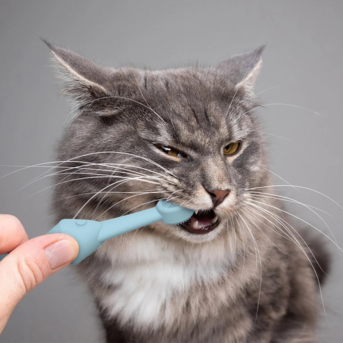 Pet Long-Handle Toothbrush for Dogs