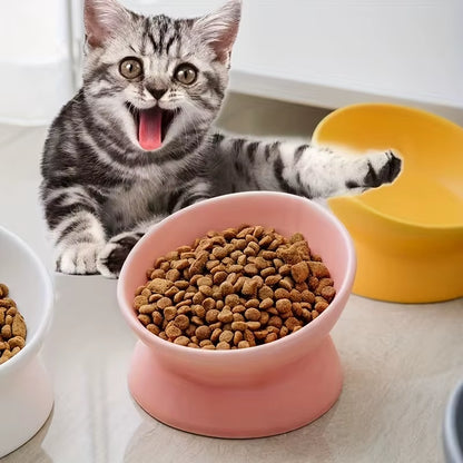 Ceramic Raised Cat Bowl Set
