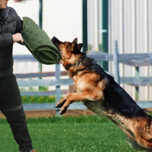 Guard Dog Bite Training Set Durable